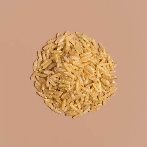 Fermented Brown Rice